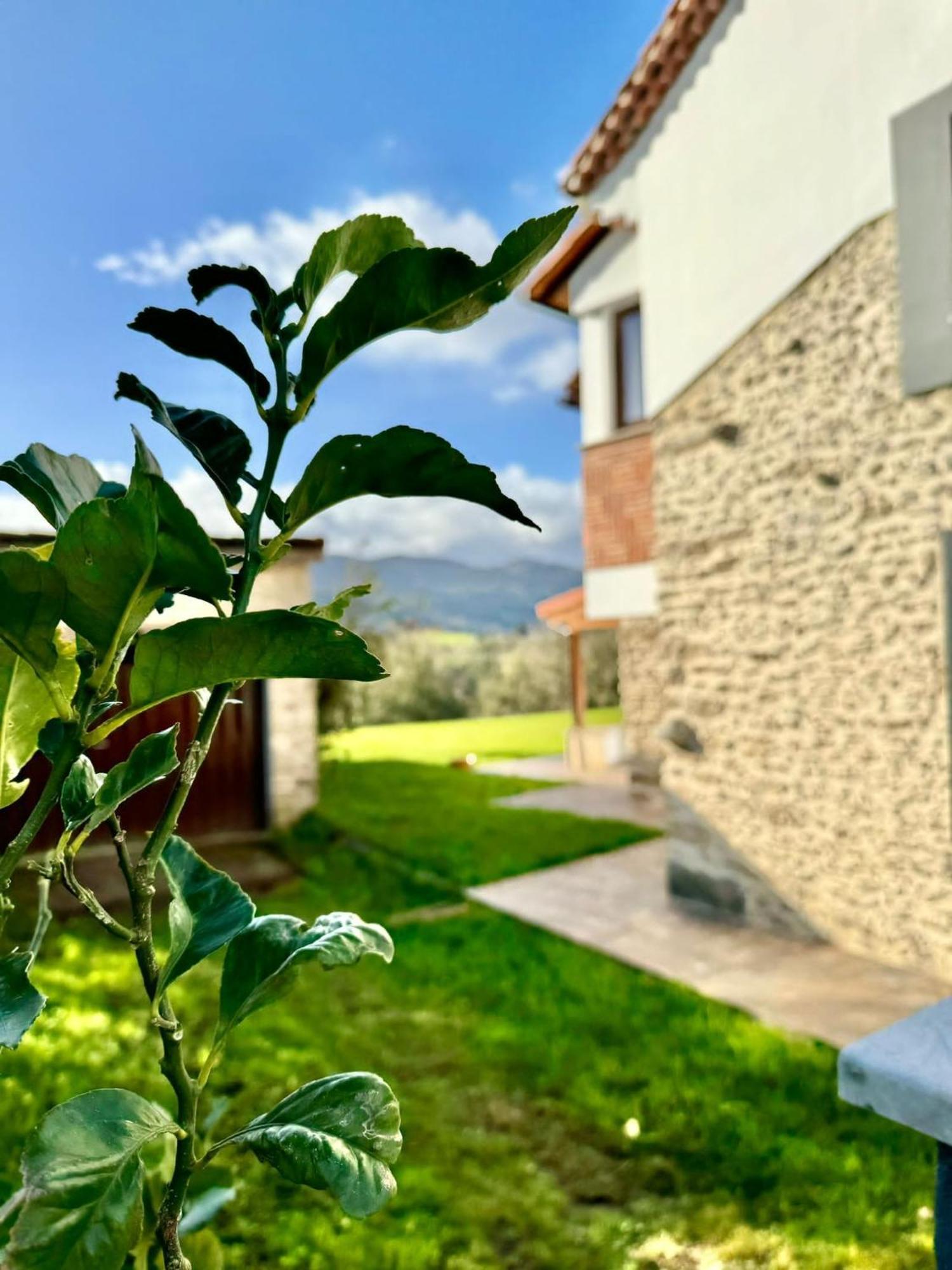 Terradeva Apartamentos Colombres Exterior foto